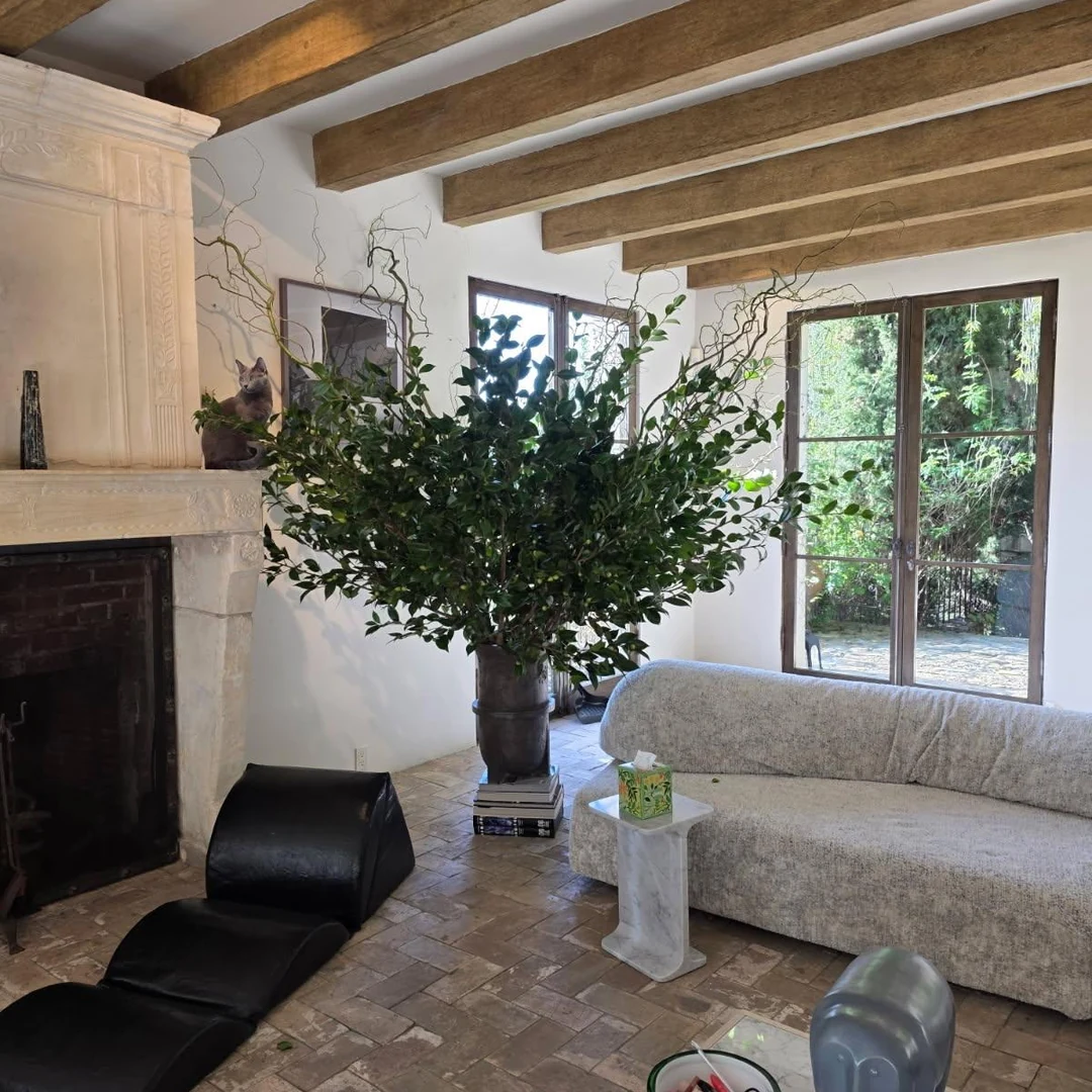 Tall leafy branch arrangement in a dark vase beside a fireplace