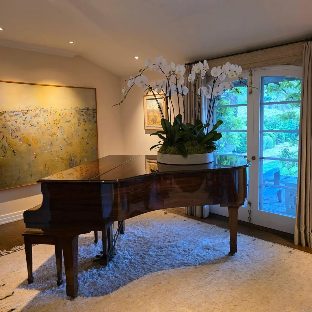 White orchids in a low planter on a grand piano