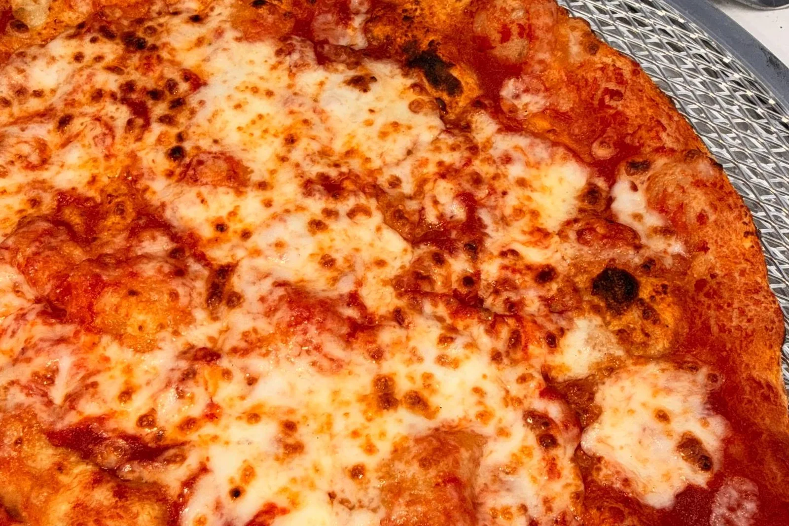 Neapolitan Pizza Stand: Close-up of melted mozzarella and a blistered Neapolitan pizza crust
